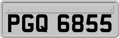 PGQ6855