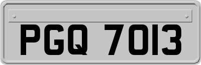 PGQ7013