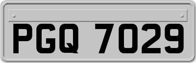PGQ7029