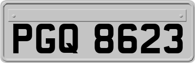 PGQ8623