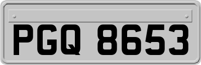PGQ8653