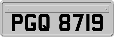 PGQ8719