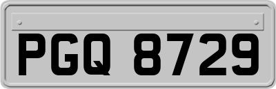 PGQ8729
