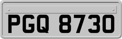 PGQ8730
