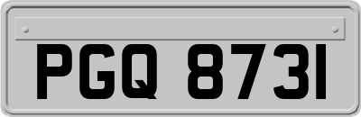 PGQ8731
