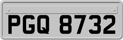 PGQ8732