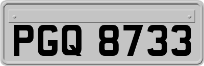 PGQ8733