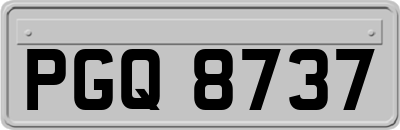 PGQ8737