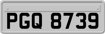 PGQ8739
