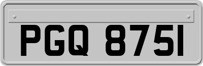 PGQ8751