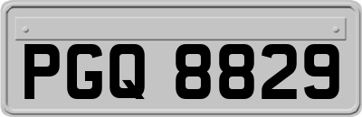 PGQ8829