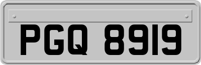 PGQ8919