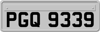 PGQ9339