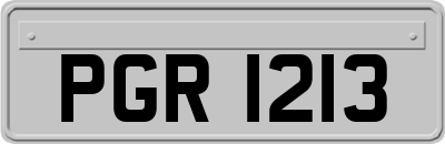 PGR1213