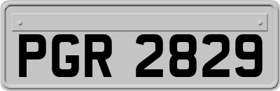 PGR2829