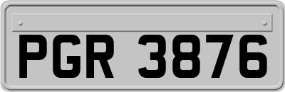 PGR3876