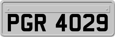 PGR4029