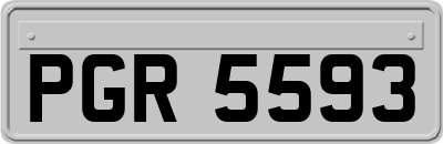 PGR5593