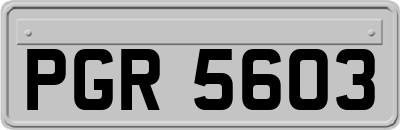 PGR5603