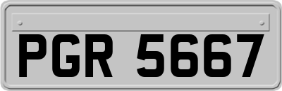 PGR5667