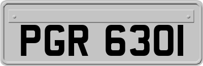 PGR6301