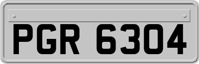 PGR6304
