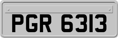 PGR6313