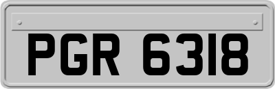 PGR6318
