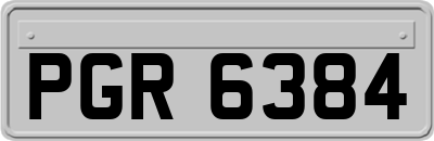 PGR6384