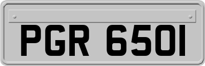 PGR6501