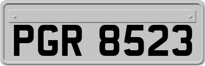 PGR8523
