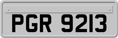 PGR9213