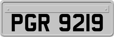 PGR9219