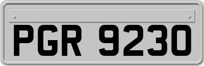 PGR9230