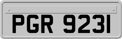 PGR9231