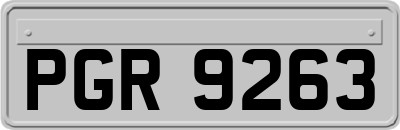 PGR9263