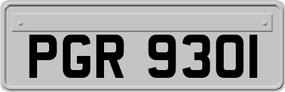 PGR9301