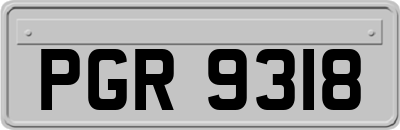 PGR9318
