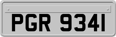 PGR9341