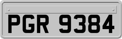 PGR9384