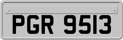 PGR9513