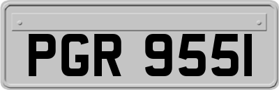 PGR9551