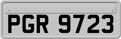 PGR9723