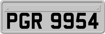 PGR9954