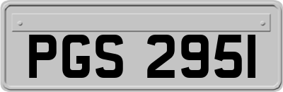 PGS2951