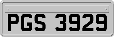 PGS3929