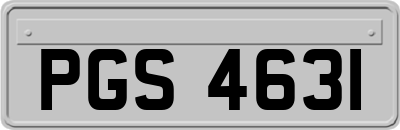 PGS4631