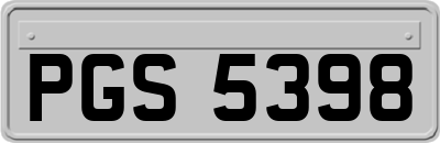 PGS5398