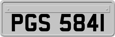 PGS5841