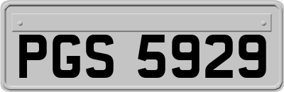 PGS5929